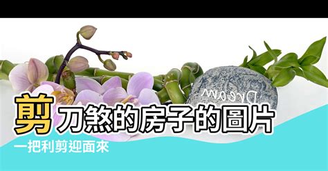 剪刀煞定義|【剪刀煞定義】【風水殺手】剪刀煞定義：破解居家、店家厄運的。